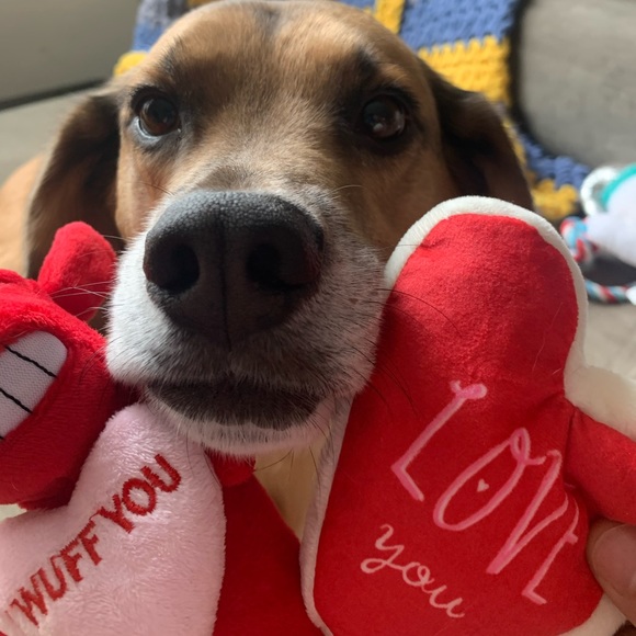 Meet your Posher, Rachel - Picture 2 of 2